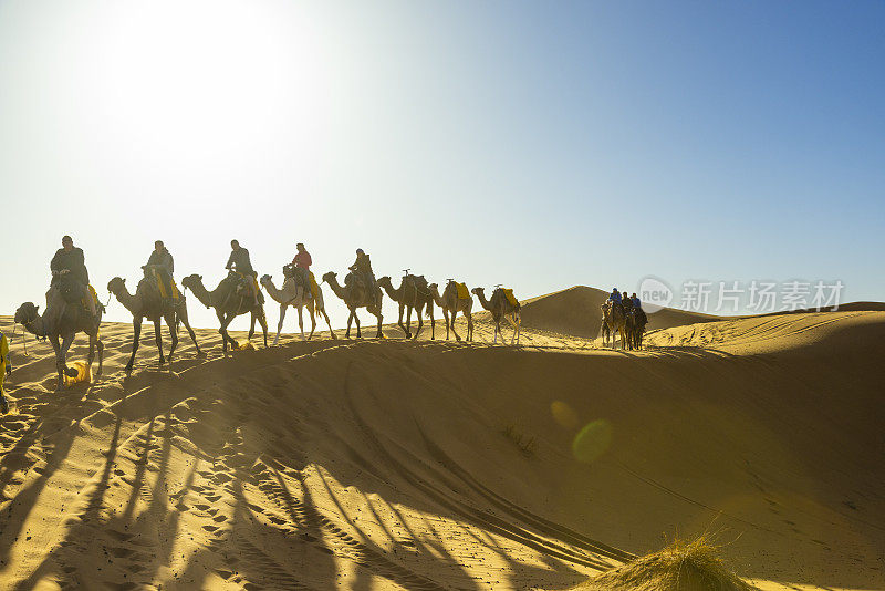 在沙漠中骑骆驼的游客，Merzouga, Erg Chebbi，撒哈拉，摩洛哥